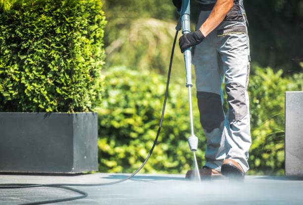 Best Paint Preparation  in Hollywood, FL