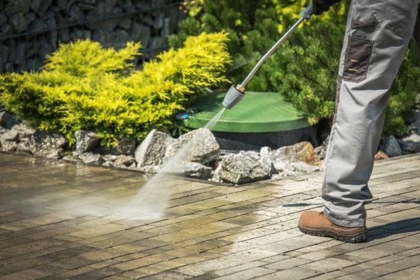 Best Sidewalk and Walkway Cleaning  in Hollywood, FL
