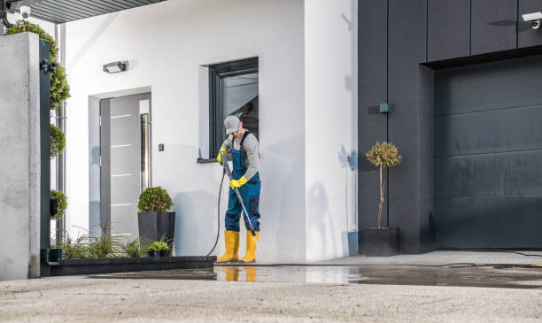 Best Spring Cleaning  in Hollywood, FL